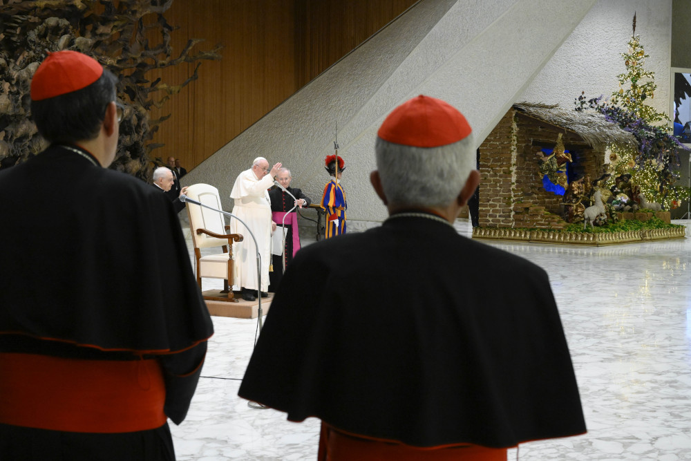 The backs of two cardinals are in the foreground of Pope Francis' general audience