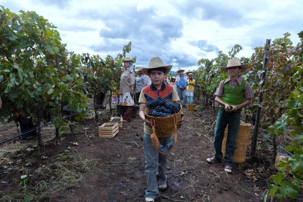 Actor playing a 7-year-old works in the field.