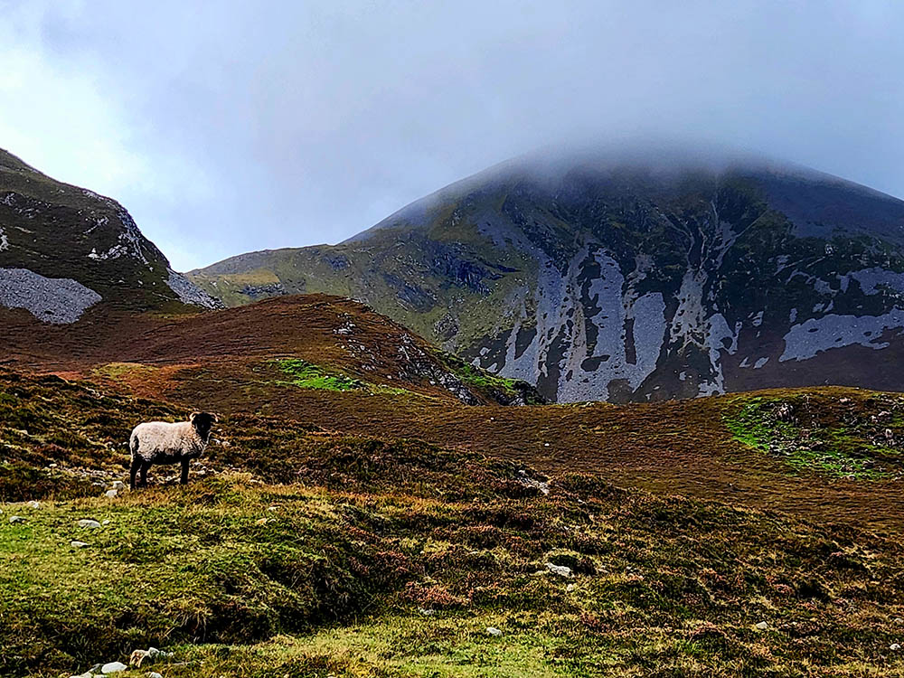 St. Patrick is said to have spent 40 days at the summit of Croagh Patrick in Ireland in A.D. 441. Today, pilgrims still travel from around the world to climb the mountain. (Mark Piper)