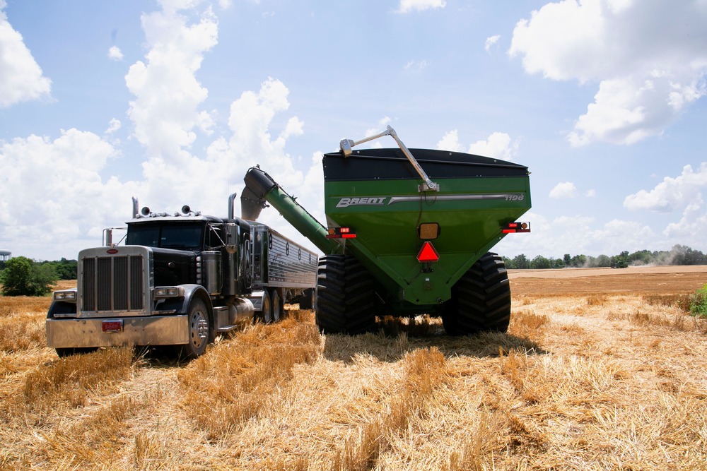 Combine feeds wheat into semi-truck trailer.