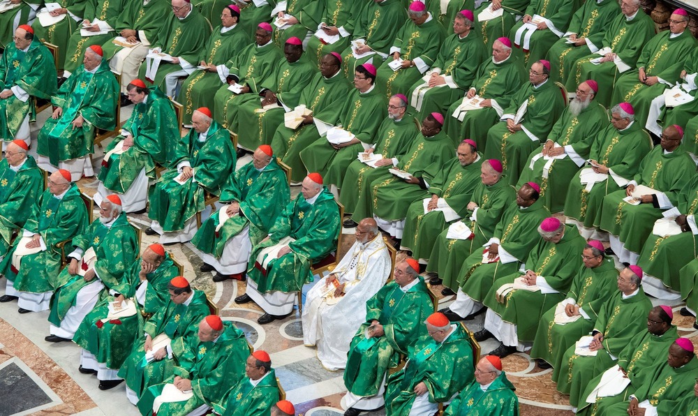 Bishops, vested for Ordinary Time, sit in vast assembly pictured from above. 