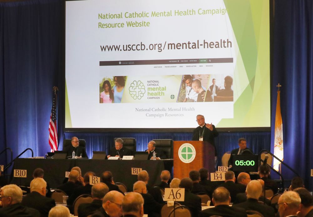 Bishop Robert Barron of Winona-Rochester, Minn., speaks June 13 at the U.S. Conference of Catholic Bishops' Spring Plenary Assembly in Louisville, Ky. (OSV News/Bob Roller)