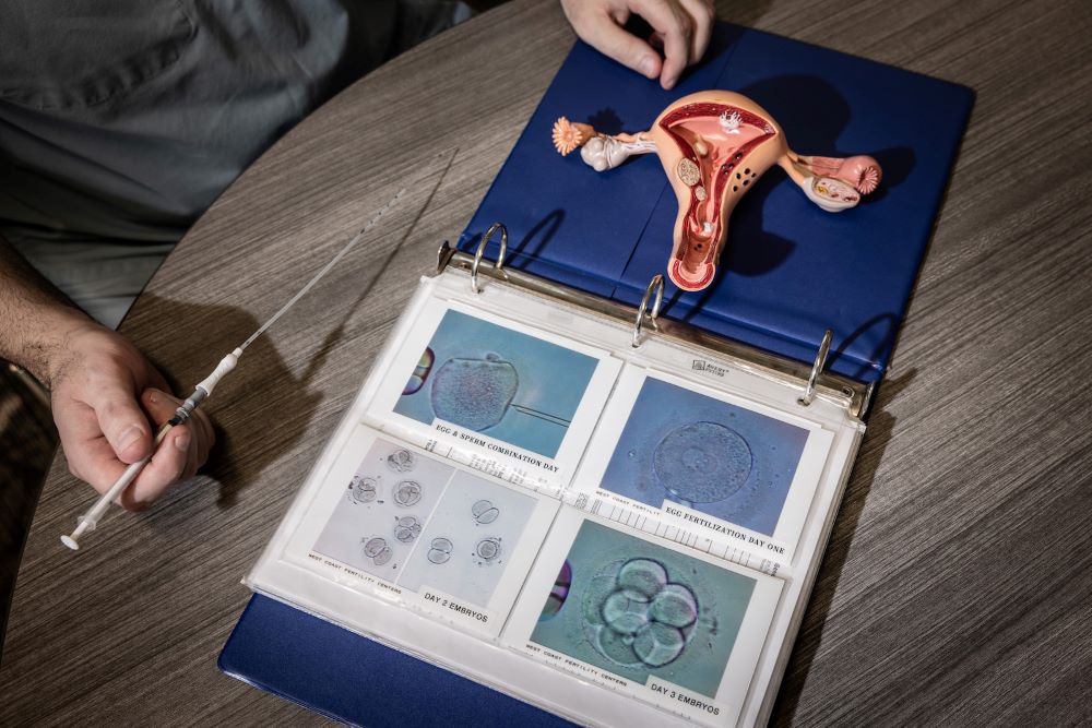 An embryo transfer catheter and a model of a uterus are displayed in a fertility clinic in California. (Grist/The Washington Post via Getty Images/Jay L. Clendenin)