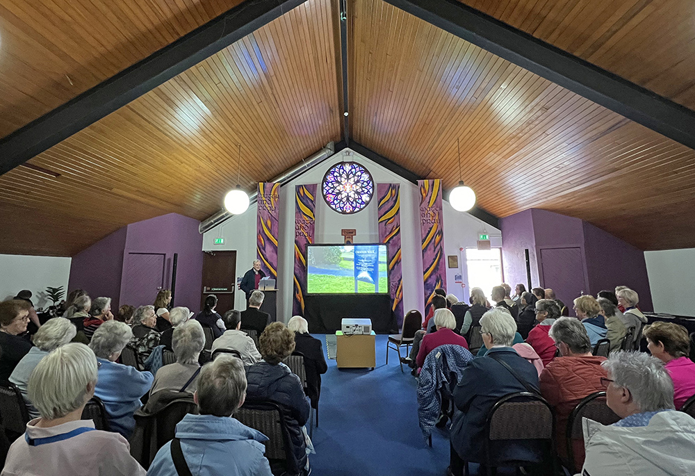 Jesuit Fr. Brian Grogan speaks to an audience during the launch of Creation Walk May 25 at Knock Shrine. (Sinead Mallee)