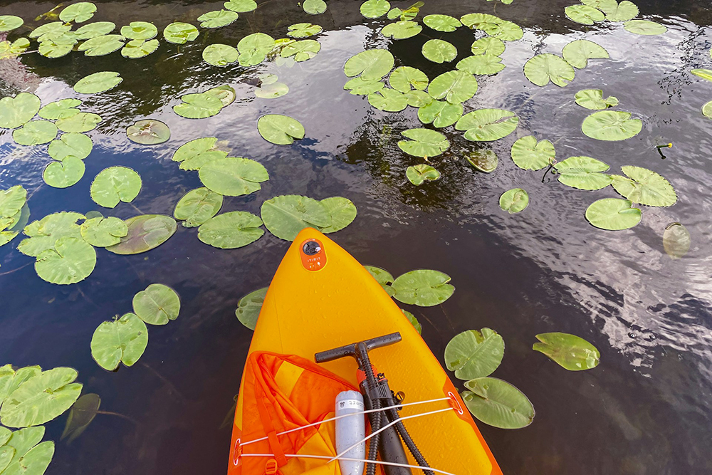 The edge of a paddleboard in a lake (Unsplash/Robert Katzki)