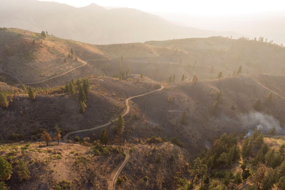 A view shows burned vegetation near Wenatchee, Wash., July 24, 2021, after the Red Apple Fire. 