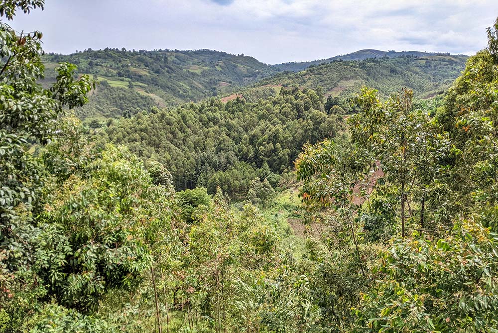 A landscape in Kahuzi-Biega National Park in the Democratic Republic of Congo (Wikimedia Commons/Gloiremutaliko21)