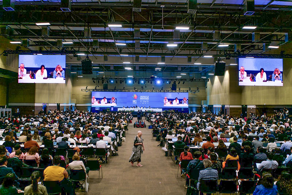 The United Nations biodiversity summit, known as COP16, concludes in the early hours of Nov. 2, in Cali, Colombia. Nations gathered to work on implementing the Kunming-Montreal Global Biodiversity Framework, aka "the Paris Agreement for nature," which includes a goal of conserving 30% of lands and waters by 2030. (Flickr/UN Biodiversity)