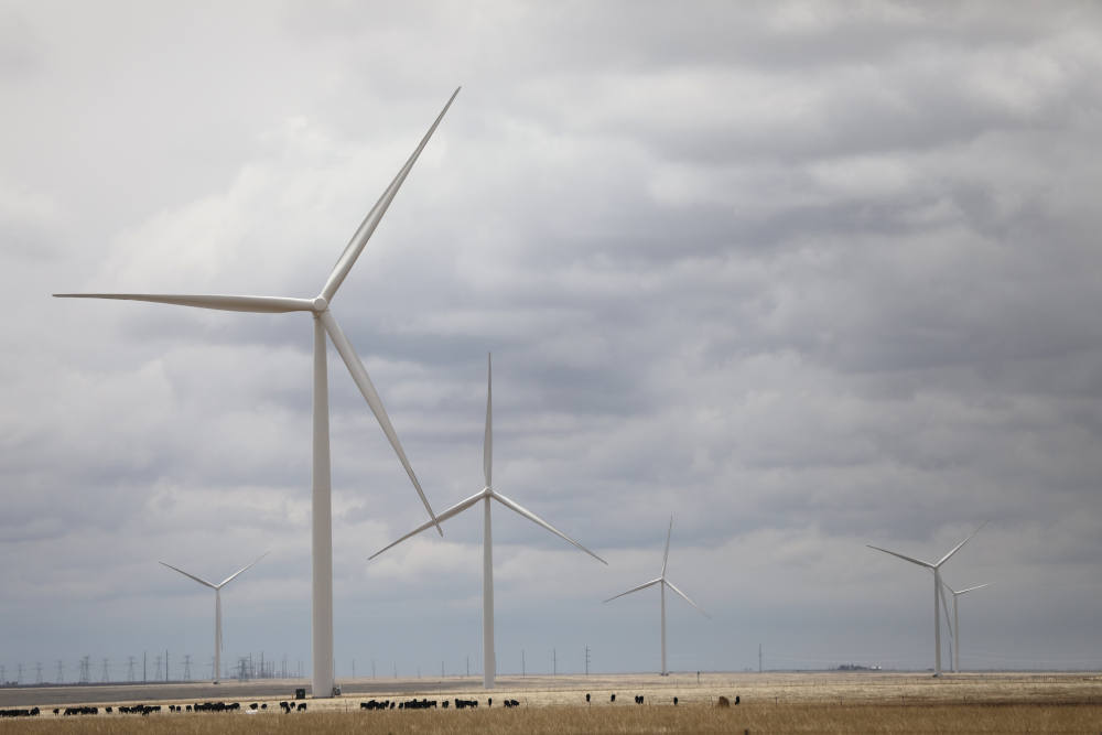 Cows graze under wind turbines in the early morning outside Albuquerque, N.M., April 28, 2023. (OSV News photo/Bob Roller)