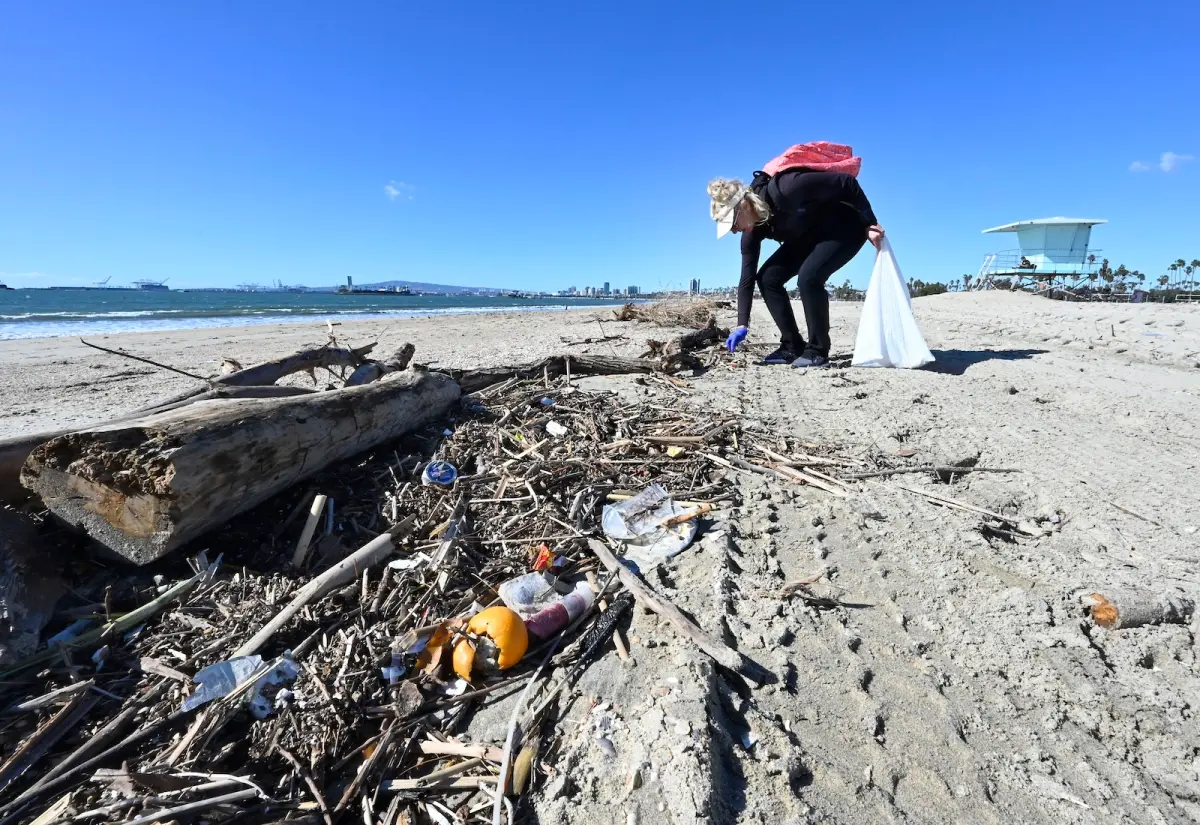 A resident of Long Beach, California, picks up plastic and other trash from a beach. Brittany Murray / MediaNews Group / Long Beach Press-Telegram via Getty Images