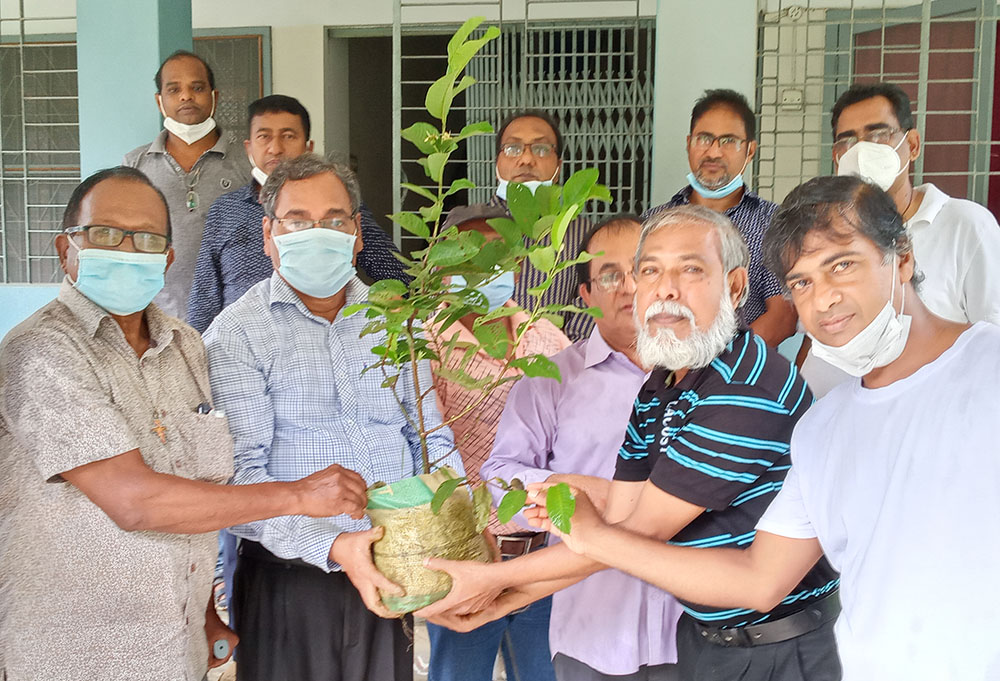 Lay leaders distribute trees in Savar, in the Dhaka district of Bangladesh. (Sumon Corraya)