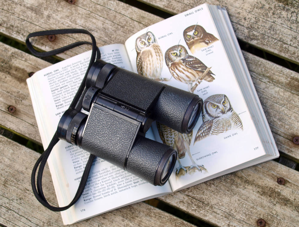 Binoculars sit on a bird field guide book. (Diane Helentjaris/Unsplash/Creative Commons)