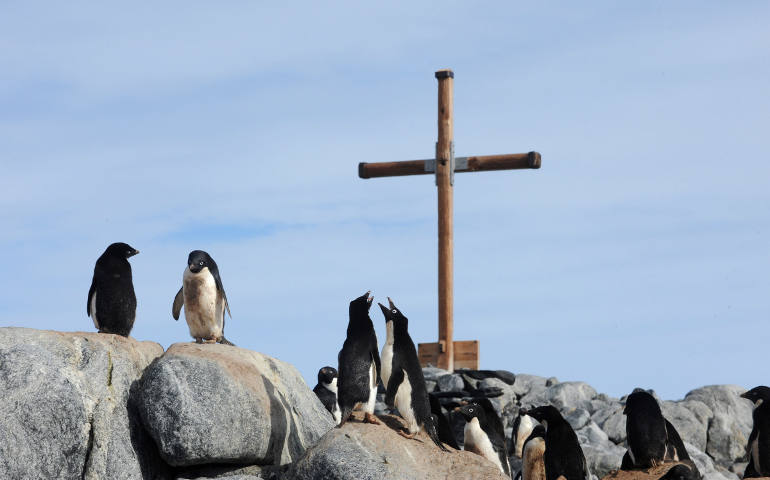 Adelie penguins gather at the base of a memorial at Mawson's Hut in Commonwealth Bay, Antarctica, Jan. 16. (CNS photo/Dean Lewins, EPA)