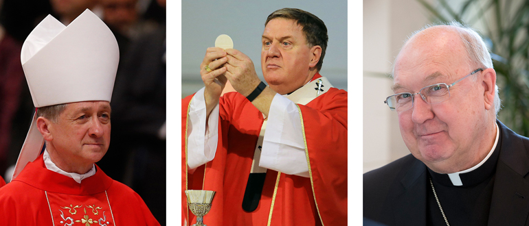 Cardinals-designate Blase Cupich, Joseph Tobin and Kevin Farrell (CNS/Paul Haring; Bob Nichols, Catholic Moment; Tyler Orsburn)