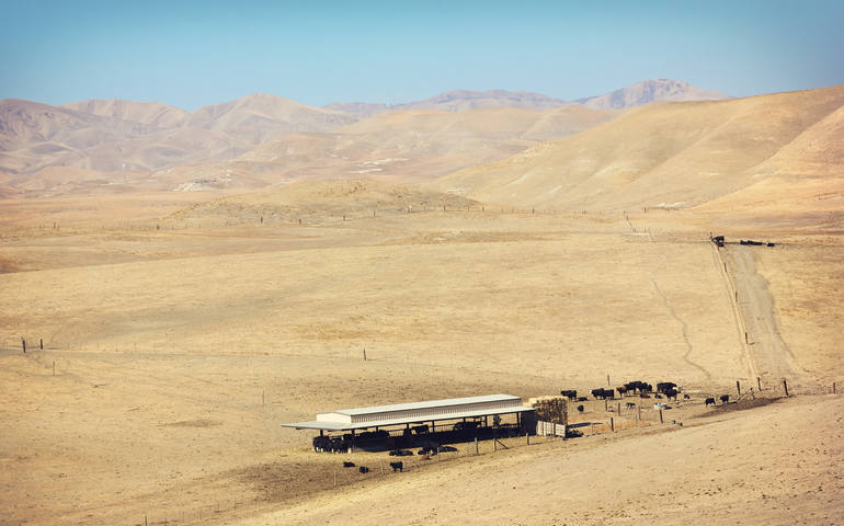 A drought leaves the grass dry and brown out in a farm field in central California in this Nov. 16, 2013 photo. (Dreamstime) 