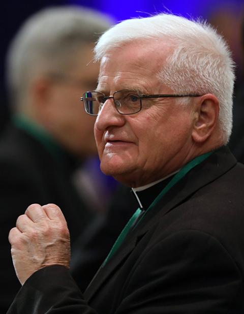 Auxiliary Bishop Edward Grosz of Buffalo, New York (CNS/Bob Roller)