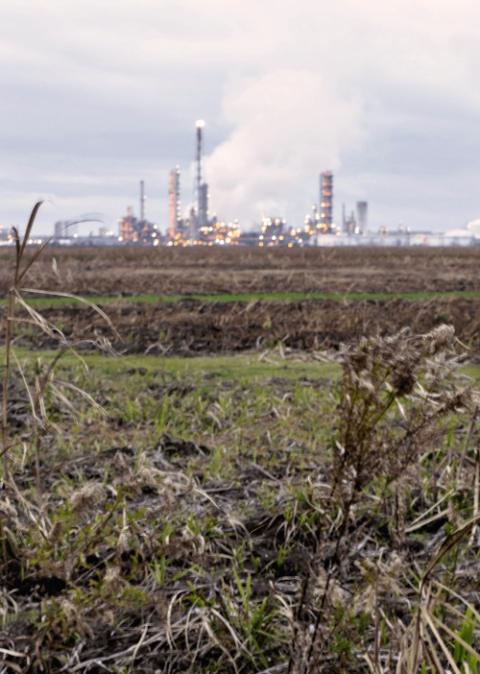 Landscape in St. James Parish, Louisiana (Courtesy of Louisiana Bucket Brigade)