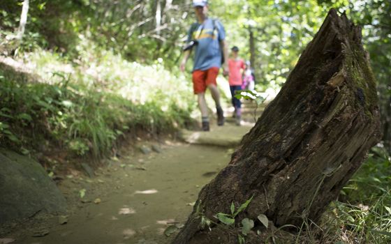 Visitors hike the Appalachian Trail in 2016 at the Great Smoky Mountains National Park.  (CNS/Chaz Muth)