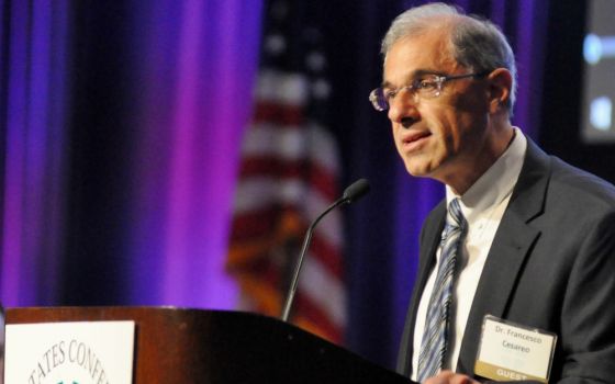 Francesco Cesareo, chairman of the National Review Board, speaks June 14, 2017, during the opening session of the U.S. Conference of Catholic Bishops' annual spring assembly in Indianapolis. (CNS/The Criterion/Sean Gallagher)