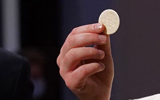 A priest gives the Eucharist to a communicant during a Mass at St. Agnes Cathedral in Rockville Centre, New York, in 2020. (CNS/Gregory A. Shemitz)