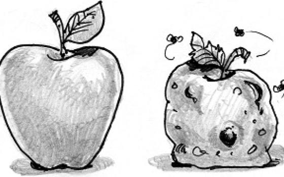 good and bad fruit