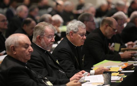 Bishop David Malloy of Rockford, Illinois, center, votes alongside other prelates June 14, 2018, during the U.S. Conference of Catholic Bishops' spring assembly in Fort Lauderdale, Florida. (OSV News/CNS file/Bob Roller)