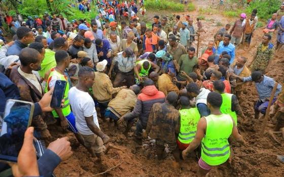 Large group of people dig through mud looking for survivors. 