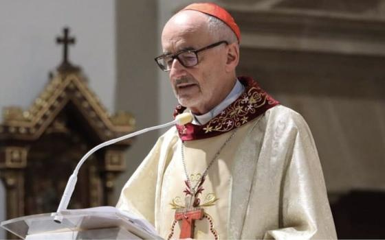 The Cardinal, vested for mass, stands preaching.