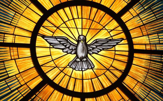 The Holy Spirit, traditionally depicted as a dove, is pictured in a stained-glass window at St. John Vianney Church in Lithia Springs, Georgia, in this May 4, 2015, file photo. (CNS/Georgia Bulletin/Michael Alexander)