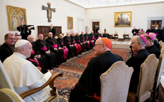 Pope Francis leads a meeting with bishops from the state of New York at the Vatican Nov. 15, 2019. The bishops were making their ad limina visits to report on the status of their dioceses to the pope and Vatican officials. (CNS/Vatican Media)