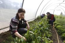 Zena Grazioli, left, works with others in the garden of the Nomadelfia Catholic community in Rome Feb. 21, 2017. Families in the community embrace the lifestyle of New-Testament-era Christians by living together and sharing responsibilities. (CNS photo)