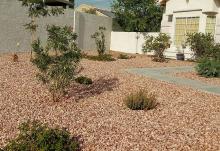 Margie Klein's yard after it had been converted to a xeric landscape, including rockscaping and southwestern native plants (Courtesy of Margie Klein)