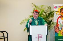 Cardinal Pierre vested for ordinary time stands at ambo gesturing and speaking.